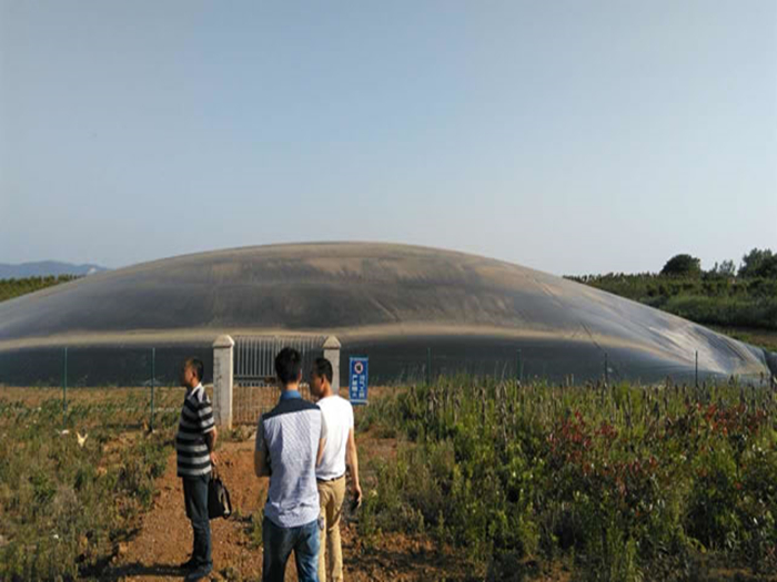 養豬（zhū）場黑膜（mó）沼氣池防滲工程